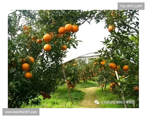 水果救援:踏上神奇旅程,保护果园 水果救援:踏上神奇旅程,保护果园