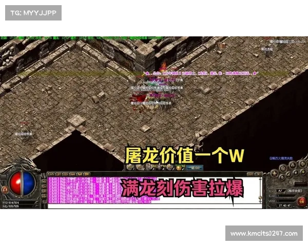 爆玩传奇:屠龙夺宝攻略秘典,一统玛法霸业 爆玩传奇:屠龙夺宝攻略秘典,一统玛法霸业